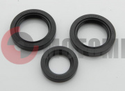 Набор сальников Муравей редуктора стар/обр. Набор сальников Муравей редуктора стар/обр.