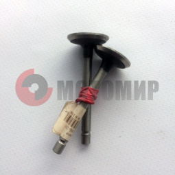 Клапана впус./выпус.МБ-2М Клапана впус./выпус.МБ-2М