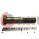 ���� ����� �8�50 ��������� ���������