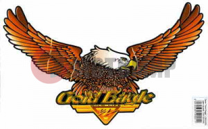 �������� ���� (180*300) �����