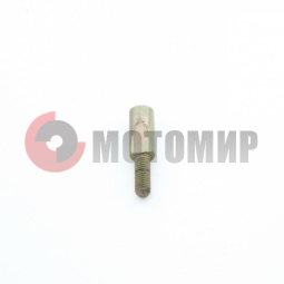 ���� ��������� �����