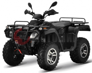 ATV Stels 300 B (�����)