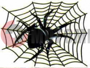 �������� ���� (055*55) �� ������� ��.