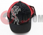 Бейсболка CAT OUT CAP(черн/красн.и вышивк.дикой кошки) Бейсболка CAT OUT CAP(черн/красн.и вышивк.дикой кошки)