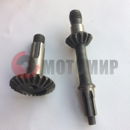 ���������� ���� �/� ��� ���������