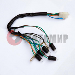 �������� ����� �������� �����