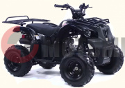 ATV Irbis 110 U