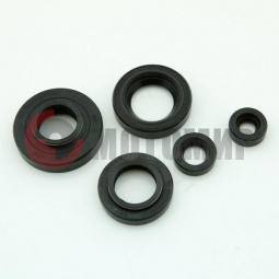 Набор сальников Муравей двигателя (6 шт.) Набор сальников Муравей двигателя (6 шт.)