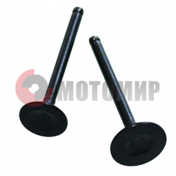 Клапана (64.00mm) 50-70сс Альфа Дельта. Клапана (64.00mm) 50-70сс Альфа Дельта.