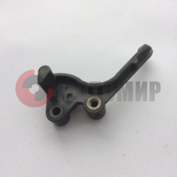 ����� �/� ����