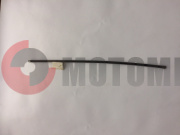 ������� ����� ����