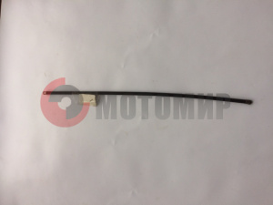 ������� ����� ����