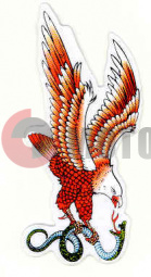 �������� ���� � ���� �����