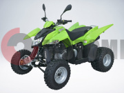 ATV QuadRaider 300 SS ������� ��������� ��������
