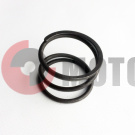 Пружина фланца Рысь к\п (113.06.010.014) Пружина фланца Рысь к\п (113.06.010.014)