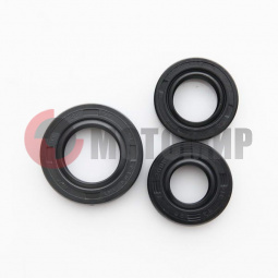 ����� ��������� 4�.250��3 166FMM (CB250)