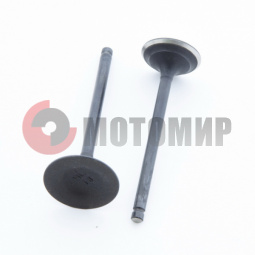 Клапан впуск/выпуск.АТV 250 Клапан впуск/выпуск.АТV 250