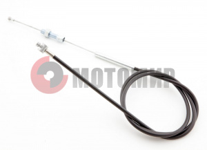 ���� ����� ���������