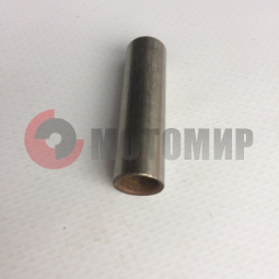 ����� �/� �����