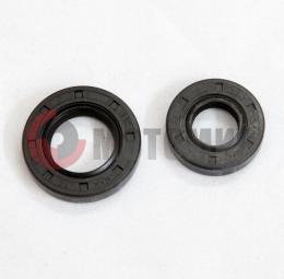 ����� ��������� 250ZH