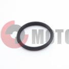 ������ �����.������. ����. �����.