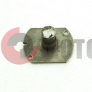 Эксцентрик Муравей Эксцентрик Муравей