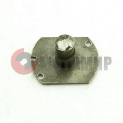 Эксцентрик Муравей Эксцентрик Муравей