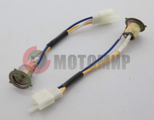 ������ ���� ������