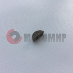 ������ ����