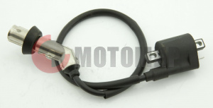 ������� ��������� ATV 250 Skaner