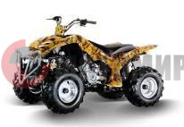 ATV FORSAGE Easy Rider 125 ATV FORSAGE Easy Rider 125