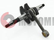 �������� ���� (�������.)