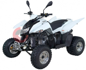 ATV QuadRaider 300 SS белый зависимая подвеска ATV QuadRaider 300 SS белый зависимая подвеска