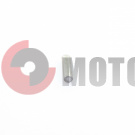 Штифт Нептун крыльчатки (160230042) Штифт Нептун крыльчатки (160230042)