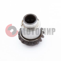 ����� �����. �����.(���.������.)