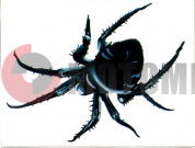 �������� ���� (140*180)��.