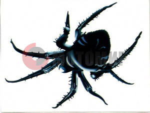 �������� ���� (140*180)��.