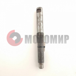 ��� �������� ����� �����