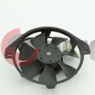 ����������������� ATV 250 Skaner