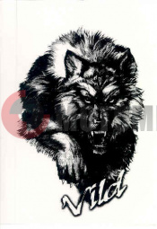 �������� ����